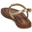 MICHAEL Michael Kors  MANDY THONG SANDAL  Oro -  Infradito Donna - 5