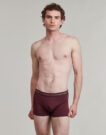 Boxer Eminence BUSINESS BOXER Pack of 3 Bordeaux - Men's Boxers - 2