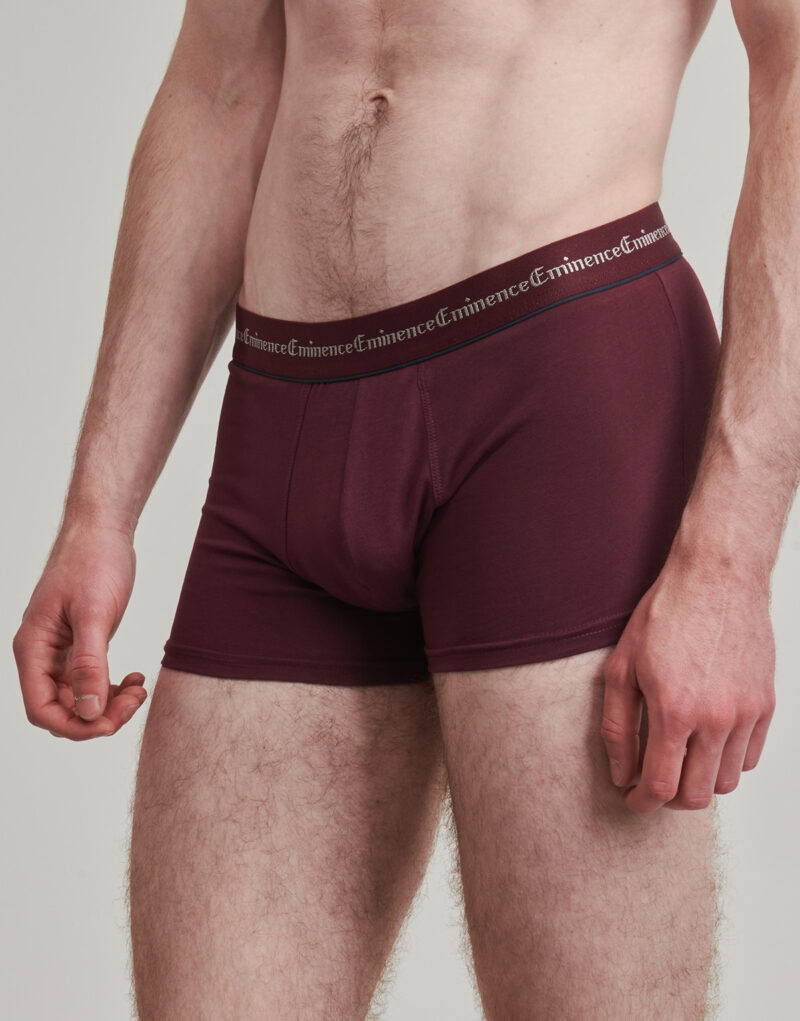 Boxer Eminence BUSINESS BOXER Pack of 3 Bordeaux - Men's Boxers - 3