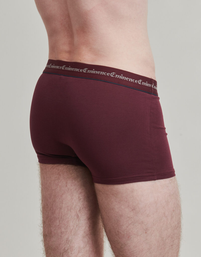 Boxer Eminence BUSINESS BOXER Pack of 3 Bordeaux - Men's Boxers - 4