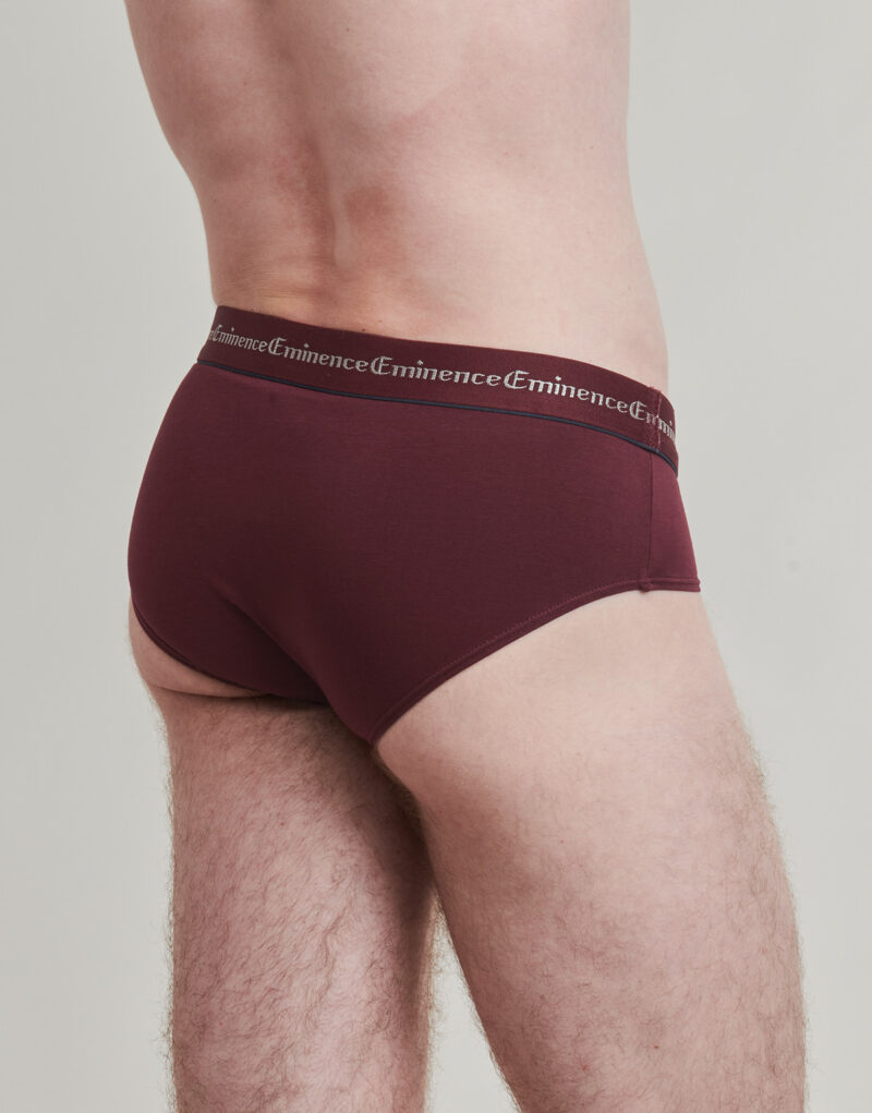 Slip Eminence BUSINESS Pack de 3 Bordeaux Slip Uomo - 4