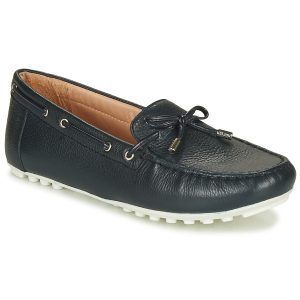 D LEELYAN  Blu