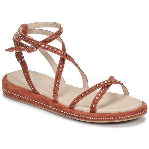 Sandali    6780-100-COLTO  Marrone