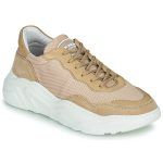 Sneakers basse    WINNER  Marrone