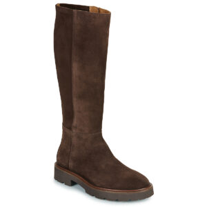 Geox  D NORIZE  Marrone -  Stivali bassi  Donna