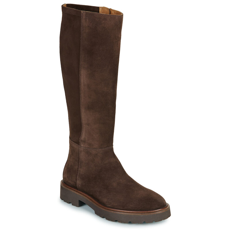 Geox  D NORIZE  Marrone -  Stivali bassi  Donna - 1