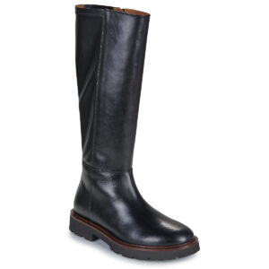 Geox  D NORIZE  Nero -  Stivali bassi  Donna