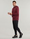 Felpe con cappuccio Puma ESS 2 COLOR Small No. 1 Logo Hoodie TR Bordeaux Felpe con cappuccio Uomo - 3