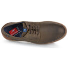Fluchos TAYLOR Brown Derby Men - 6