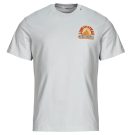 T-shirt uomo Replay  -  Grigio Replay 8053816100992