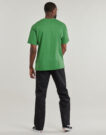 Vans T-Shirt LEFT CHEST II LOOSE SS FAIRWAY Gr&uuml;n Kurzarm T-Shirt Herren - 4