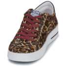 Semerdjian  MAYA  Marrone -  Sneakers basse Donna - 3