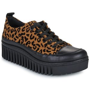 BRIGHTON  Multicolore