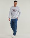 Felpe Element HOME TEAM CR Grigio Felpe Uomo - 3