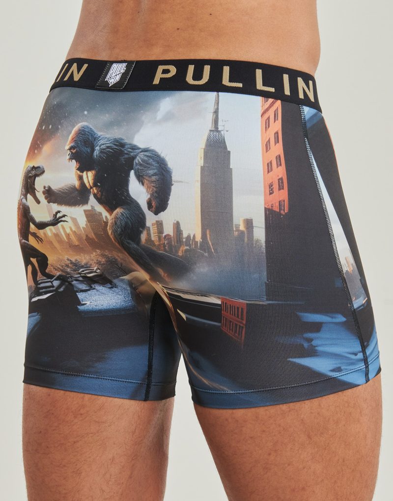 Pullin FASHION 2 Ropa interior masculina multicolor para hombre - 4