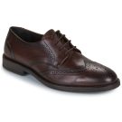 Scarpe uomo Carlington  LOUVIAN  Marrone Carlington