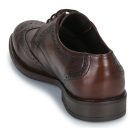 Carlington  LOUVIAN  Marrone -  Derby Uomo - 5