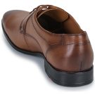 Lloyd  PERSEO  Marrone -  Derby Uomo - 5
