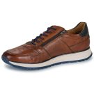 Bugatti  EVO  Marrone -  Sneakers Uomo - 4