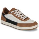 Globe  HOLAND  Marrone -  Sneakers Uomo - 1