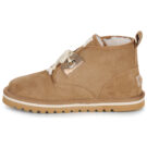 Armistice  BOULD BOOTS W  Marrone -  Stivaletti Donna - 4