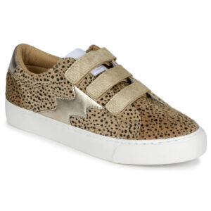 Kaporal  TOUNDRA  Beige -  Sneakers basse Donna