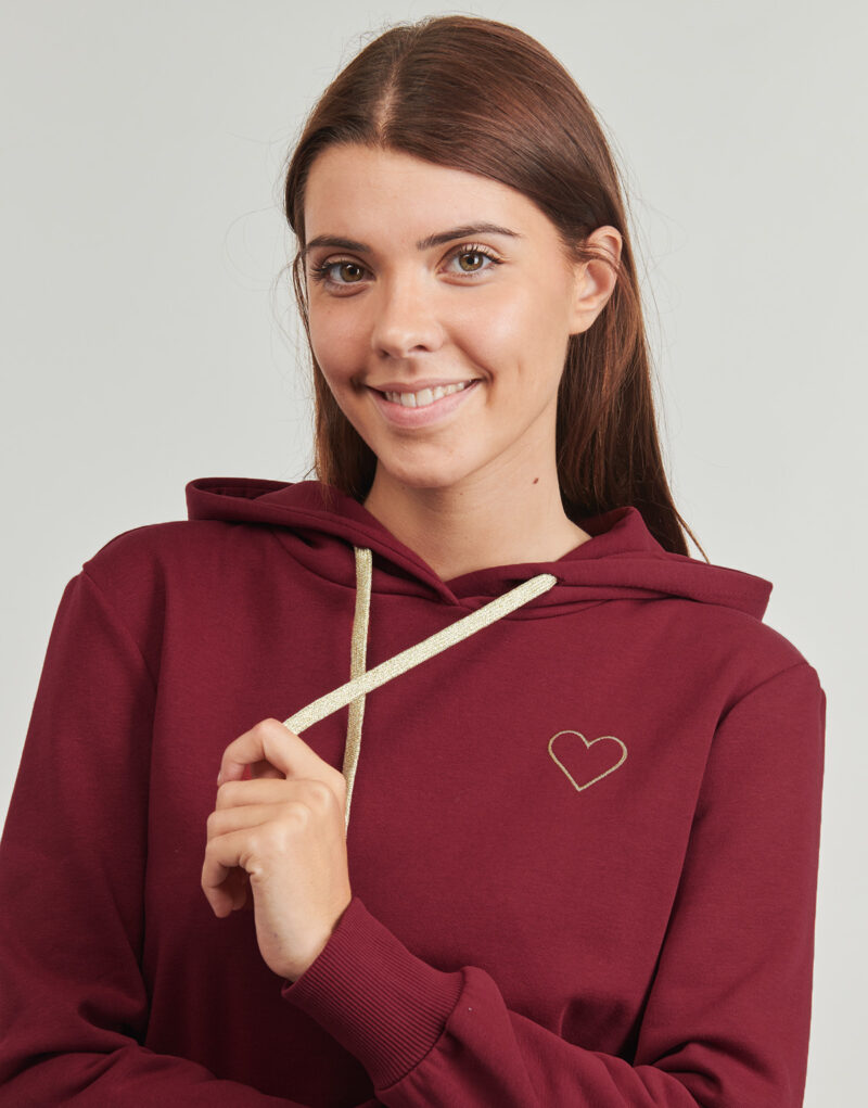 Felpe au cappuccio Only Sweat-shirts &agrave; capuche ONLNOLI Bordeaux pour femmes - 5