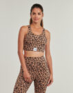 Brassiere Emporio Armani EA7 TRAIN SPORTY 4EVER W SPORT BRA - TRAIN SPORTY 4EVER W SPORT BRA Marrone Brassiere Donna - 2