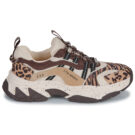 Steve Madden ANIMATES-L Beige - Sneakers basse Donna - 2