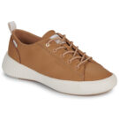 Palladium  PALLANOVA LO LTH  Marrone -  Sneakers basse Donna - 1