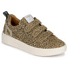 Adige  ALFAI  Marrone -  Sneakers basse Donna