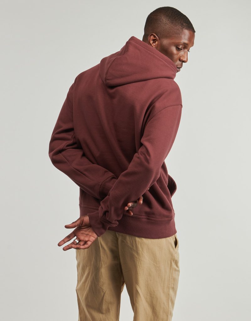 Sudadera con capucha Dickies CLANCY BB ANDORRA color burdeos para hombre - 4