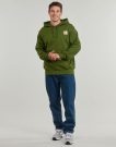 Felpe con cappuccio The North Face M CONNECT RELAXED HOODED Verde Felpe con cappuccio Uomo - 4