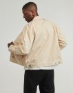 Giubbotto Dickies FORT SMITH TRUCKER JACKET WOOD ASH Beige Giubbotti Uomo - 4