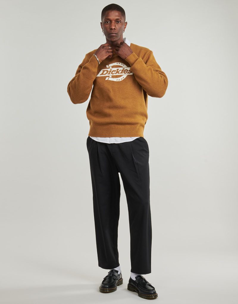 Maglione  Dickies  RUSTON SWEATER BROWN DUCK  Marrone -  Maglioni Uomo - 2
