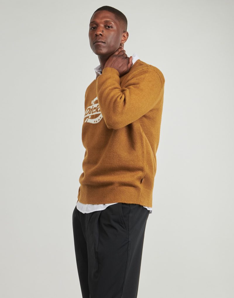 Maglione  Dickies  RUSTON SWEATER BROWN DUCK  Marrone -  Maglioni Uomo - 3