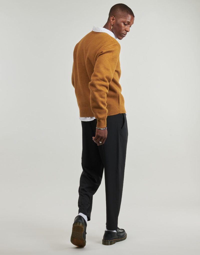 Maglione  Dickies  RUSTON SWEATER BROWN DUCK  Marrone -  Maglioni Uomo - 4