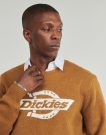Maglione  Dickies  RUSTON SWEATER BROWN DUCK  Marrone -  Maglioni Uomo - 5