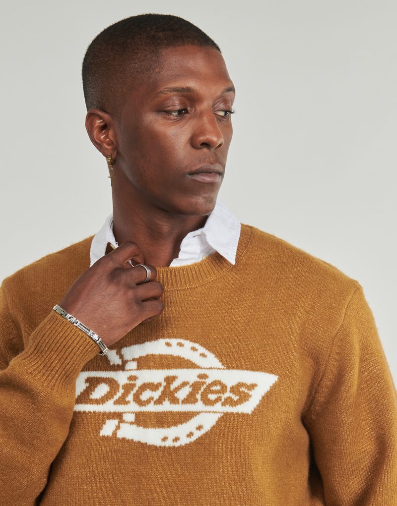 Maglione  Dickies  RUSTON SWEATER BROWN DUCK  Marrone -  Maglioni Uomo - 5