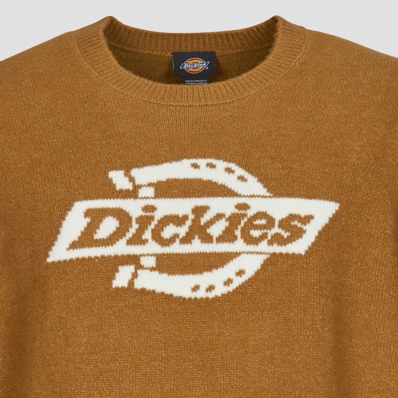 Maglione  Dickies  RUSTON SWEATER BROWN DUCK  Marrone -  Maglioni Uomo - 7