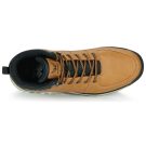 Kaporal  BIMOT  Marrone -  Sneakers alte Uomo - 6