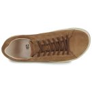 BIRKENSTOCK Bend Low Suede / Nero / Tea / Regular Marrone Sneakers Uomo - 6