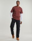T-shirt Dickies BURNS TEE SS ANDORRA Bordeaux T-shirt maniche corte Uomo - 2