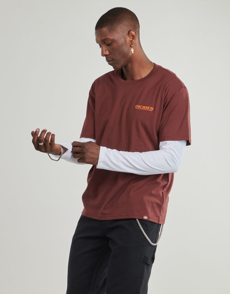 T-shirt Dickies BURNS TEE SS ANDORRA Bordeaux T-shirt maniche corte Uomo - 3