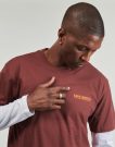 T-shirt Dickies BURNS TEE SS ANDORRA Bordeaux T-shirt maniche corte Uomo - 5