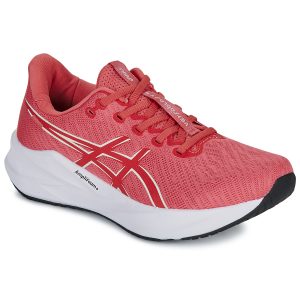 VERSABLAST  Rosa