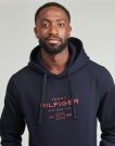 Felpe con cappuccio Tommy Hilfiger OVAL GRAPHIC HOODIE Blu Felpe con cappuccio Uomo - 5