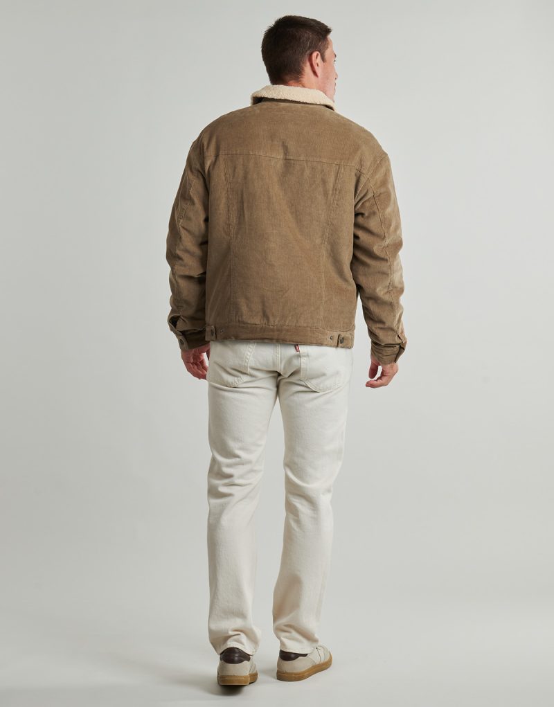 Giubbotto Guess TRUCKER JACKET Marrone - Giubbotti Uomo - 4