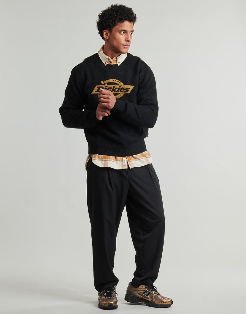 Maglione  Dickies  RUSTON SWEATER BLACK  Nero -  Maglioni Uomo - 2