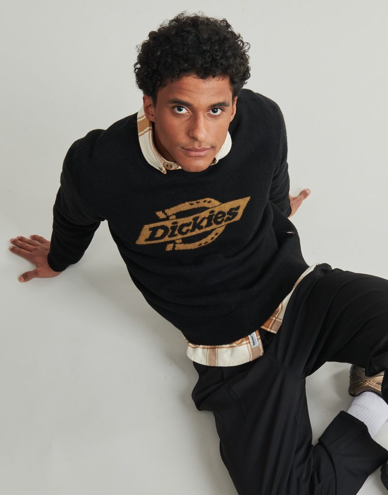 Maglione  Dickies  RUSTON SWEATER BLACK  Nero -  Maglioni Uomo - 5